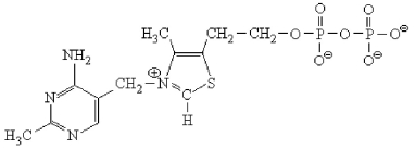 The structure shown below is which coenzyme?   A) QH₂. B) Vitamin B<sub>12</sub>. C) Biotin. D) Thiamine pyrophosphate.