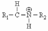 Which functional group is shown below?   A) Schiff base. B) Secondary amine. C) Amide. D) Peptide bond.