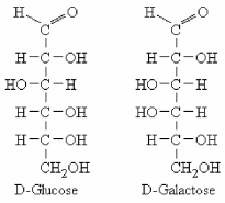 The Fischer projections of linear D-glucose and D-galactose are shown below.These two molecules are ________.   A) epimers B) enantiomers C) anomers D) structural (constitutional) isomers