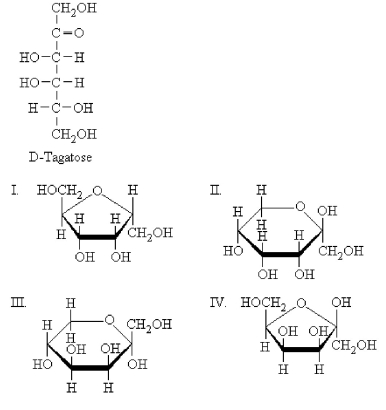 Which is a product of the intramolecular cyclization of D-tagatose to form a furanose?   A) I B) II C) III D) IV