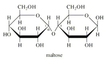Which classification(s) is(are) applicable to maltose?   A) Nonreducing sugar. B) Reducing sugar. C) Peptidoglycan. D) Glucoside. E) Both B and D.