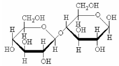 What is the name of the disaccharide shown below that is formed by joining two monomers of D-glucose?   A) β-D-glucopyranosyl-(1→4) -β-D-glucopyranose. B) α-D-glucopyranosyl-(1→4) -α-D-glucopyranose. C) β-D-glucofuranosyl-(1→4) -β-D-glucofuranose. D) α-D-glucopyranosyl-(1→3) -β-D-glucopyranose.