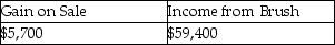 <strong>If Bird uses the actual-sale-date sales assumption,its gain on the sale and income from Brush for 2014 will be</strong> A) B) C) D)