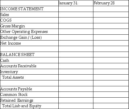 Piel Corporation (a U.S.company)began operations on January 1, 2011, when common stock was issued for $250,000.In the first two months of operations, Piel had the following transactions:    Required: Complete the summary income statement and balance sheet for the month ended January 31, 2011 and February 28, 2011, assuming there were no other transactions.   
