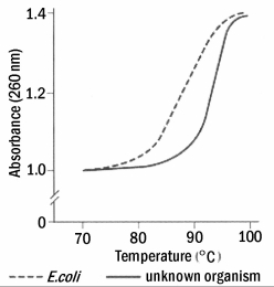 A recently isolated bacterial strain has been given to you for general characterization of the genome.You begin by isolating the DNA and subjecting it to thermal denaturation.You use Escherichia coli DNA as a reference (A + T = G +C) .   Figure 18.1 Based on the information in the graph, you can determine that the DNA has a high A) G-C content with respect to E. coli. B) pyrimidine content with respect to E. coli. C) A-T content with respect to E. coli. D) purine content, with respect to E. coli. E) none of the above