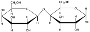  Which of the following designations best characterizes the following disaccharide?   A) Glc \alpha (1 \rarr 4) Gal B) Glc \beta (1 \rarr 4) Gal C) Gal \alpha (1 \rarr 4) Gal D) Gal \beta (1 \rarr 4) Gal E) none of the above 