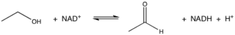 What is the oxidant in the following reaction?   A) ethanol B) NAD<sup>+</sup> C) acetaldehyde D) NADH E) H<sup>+</sup>