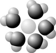 The following question is based on Figure 3.1: solute molecule surrounded by a hydration shell of water.      -Based on your knowledge of the polarity of water molecules, the solute molecule is most likely A) positively charged. B) negatively charged. C) without charge. D) hydrophobic. E) nonpolar.