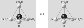 Which of the pairs of molecular structures shown below do NOT depict enantiomers (enantiomeric forms) of the same molecule? A)    B)    C)    D)    E)   