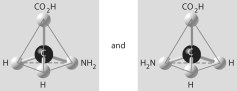 Which of the pairs of molecular structures shown below do NOT depict enantiomers (enantiomeric forms) of the same molecule? A)    B)    C)    D)    E)   