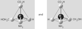 Which of the pairs of molecular structures shown below do NOT depict enantiomers (enantiomeric forms) of the same molecule? A)    B)    C)    D)    E)   