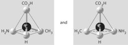 Which of the pairs of molecular structures shown below do NOT depict enantiomers (enantiomeric forms) of the same molecule? A)    B)    C)    D)    E)   