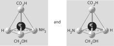 Three or four of the pairs of structures shown below depict enantiomers (enantiomeric forms) of the same molecule. Which pair, if any, are NOT enantiomers of a single molecule? If each of the pairs depicts enantiomers, choose answer F. A)    B)    C)    D)    E)    F) Both illustrations in each of the other answer choices depict enantiomers of the same molecule.