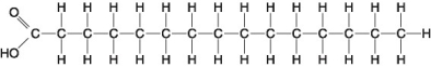 Figure 5.2   -Which of the following statements is True regarding the molecule illustrated in Figure 5.2? A) It is a saturated fatty acid. B) A diet rich in this molecule may contribute to atherosclerosis. C) Molecules of this type are usually liquid at room temperature. D) A and B only E) A, B and C