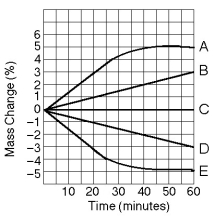 Read the following information and refer to Figure 7.4 to answer the following questions. Five dialysis bags, constructed from a semi-permeable membrane that is impermeable to sucrose, were filled with various concentrations of sucrose and then placed in separate beakers containing an initial concentration of 0.6 M sucrose solution. At 10-minute intervals, the bags were massed (weighed) and the percent change in mass of each bag was graphed.      -Which line represents the bag with the highest initial concentration of sucrose?