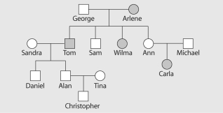 The pedigree below traces the inheritance of alkaptonuria, a biochemical disorder. Affected individuals, indicated here by the colored circles and squares, are unable to metabolize a substance called alkapton, which colors the urine and stains body tissues. Does alkaptonuria appear to be caused by a dominant allele or by a recessive allele?  Fill in the genotypes of the individuals whose genotypes can be deduced. What genotypes are possible for each of the other individuals?   