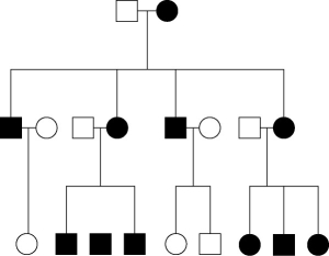 Figure 15.4   -The pedigree in Figure 15.4 shows the transmission of a trait in a particular family. Based on this pattern of transmission, the trait is most likely A) mitochondrial. B) autosomal recessive. C) sex-linked dominant. D) sex-linked recessive. E) autosomal dominant.