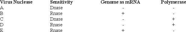 Use the following information to answer the following questions. In 1971, David Baltimore described a scheme for classifying viruses based on how the virus produces mRNA. The table below shows the results of testing five viruses for nuclease specificity, the ability of the virus to act as an mRNA, and presence (+) or absence (-) of its own viral polymerase. Based on the above table, which virus meets the requirements for a bacteriophage?