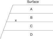 The following questions refer to Figure 22.1, which shows an outcrop of sedimentary rock whose strata are labeled A-D.      -Which stratum should contain the greatest proportion of extinct organisms?