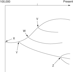 The following questions refer to the evolutionary tree in Figure 22.2. The tree's horizontal axis is a timeline that extends from 100,000 years ago to the present; the vertical axis represents nothing in particular. The labeled branch points on the tree (V-Z)  represent various common ancestors. Let's say that only since 50,000 years ago has there been enough variation between the lineages depicted here to separate them into distinct species, and only the tips of the lineages on this tree represent distinct species.      -Some members of a photosynthetic plant species are genetically resistant to an herbicide, while other members of the same species are not resistant to the herbicide. Which combination of events should cause the most effective replacement of the non-herbicide-resistant strain of plants by the resistant strain? 1)  The presence of the herbicide in the environment 2)  The absence of the herbicide from the environment 3)  The maintenance of the proper conditions for one generation 4)  The maintenance of the proper conditions for many generations A) 1 and 3 B) 1 and 4 C) 2 and 3 D) 2 and 4 