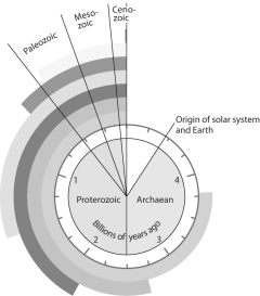 Use the unlabeled clock diagram below to test your memory of the sequence of key events in the history of life on Earth described in this chapter by labeling the colored bars. As a visual aid to help you study, add labels that represent other significant events discussed in the chapter, such as the Cambrian explosion, origin of mammals, and Permian and Cretaceous mass extinctions.   