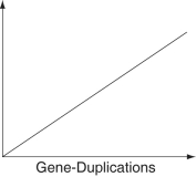  The following questions refer to the information below. A researcher compared the nucleotide sequences of a homologous gene from five different species of mammals with the homologous human gene. The sequence homology between each species' version of the gene and the human gene is presented as a percentage of similarity.   \begin{array} { l c }  \text { Species } & \text { Percentage } \\ \hline \text { Chimpanzee } & 99.7 \\ \text { Orangutan } & 98.6 \\ \text { Baboon } & 97.2 \\ \text { Rhesus Monkey } & 96.9 \\ \text { Rabbit } & 93.7 \end{array}    -Which of these items does not necessarily exist in a simple linear relationship with the number of gene-duplication events when placed as the label on the vertical axis of the graph below?   A) number of genes B) number of DNA base pairs C) genome size D) mass (in picograms) of DNA E) phenotypic complexity 