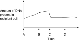 Figure 27.2 depicts changes to the amount of DNA present in a recipient cell that is engaged in conjugation with an Hfr cell. Hfr-cell DNA begins entering the recipient cell at Time A. Assume that reciprocal crossing-over occurs (i.e., a fragment of the recipient's chromosome is exchanged for a homologous fragment from the Hfr cell's DNA) . Use Figure 27.2 to answer the following questions.     Figure 27.2 -What is occurring at Time C that is decreasing the DNA content? A) crossing-over B) cytokinesis C) meiosis D) degradation of DNA that was not retained in the recipient's chromosome E) reversal of the direction of conjugation