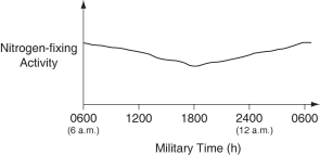 The data were collected from the heterocytes of a nitrogen-fixing cyanobacterium inhabiting equatorial ponds. Study the graph below and choose the most likely explanation for the shape of the curve.   A) Enough O₂ enters heterocytes during hours of peak photosynthesis to have a somewhat-inhibitory affect on nitrogen fixation. B) Light-dependent reaction rates must be highest between 1800 hours and 0600 hours. C) Atmospheric N₂ levels increase at night because plants are no longer metabolizing this gas, so are not absorbing this gas through their stomata. D) Heterocyte walls become less permeable to N₂ influx during darkness. E) The amount of fixed nitrogen that is dissolved in the pond water in which the cyanobacteria are growing peaks at the close of the photosynthetic day (1800 h) .
