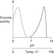 <strong>Consider the thermoacidophile, Sulfolobus acidocaldarius. Which graph most accurately depicts the expected temperature and pH profiles of its enzymes? (NOTE: the horizontal axes of these graphs are double, with pH above, and temperature below.) \text {KEY:}\underline{\quad\quad}\text {pH} \quad \underline{\quad\quad}\text {Temp.} </strong> A) B) C) D)