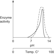 <strong>Consider the thermoacidophile, Sulfolobus acidocaldarius. Which graph most accurately depicts the expected temperature and pH profiles of its enzymes? (NOTE: the horizontal axes of these graphs are double, with pH above, and temperature below.) \text {KEY:}\underline{\quad\quad}\text {pH} \quad \underline{\quad\quad}\text {Temp.} </strong> A) B) C) D)
