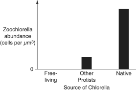  The following data were collected two weeks following reintroduction of Chlorella. (NOTE:  Native  refers to Chlorella originally taken from P. bursaria cytoplasm.)     Figure 28.2: Abundance of zoochlorellae in P. bursaria cytoplasm two weeks after reintroduction -The researchers decided to perform the same experiment over again, only this time, withdrawing P. bursaria samples every other day for testing to get a better picture of the fate of each Chlorella strain over time. Which graph below is most consistent with the results depicted in Figure 28.2, assuming that P. bursaria ingests the various Chlorella strains indiscriminately? Key:  \text { Native}    \quad \text { Other Protists }    \quad \text {  Free-living }  A)    B)    C)    D)    