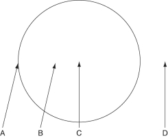 Figure 31.1 below depicts the outline of a large fairy ring that has appeared overnight in an open meadow, as viewed from above. The fairy ring represents the furthest advance of this mycelium through the soil. Locations A-D are all 0.5 meters below the soil surface. Responses may be used once, more than once, or not at all.      -If all mycorrhizae were somehow disrupted, then which of the following would be True? A) There would be fewer infectious diseases. B) We wouldn't have any antibiotics. C) There would be no mushrooms for pizza. D) Most vascular plants would be stunted in their growth. E) Cheeses like blue cheese or Roquefort would not exist.