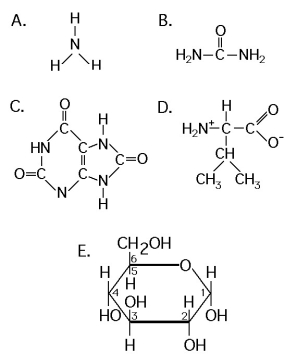 Use the following structural formulas to identify the following items.    Figure 44.1 -Excreted as a paste by land snails, insects, birds, and many reptiles, because of its solubility and toxicity properties