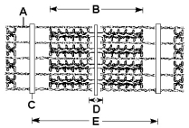 Use Figure 50.3 to answer the following questions.     Figure 50.3 -Which section consists of both actin and myosin filaments?