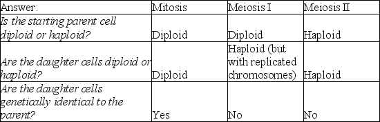 Complete the following table concerning mitosis and meiosis:    <div style=padding-top: 35px> 