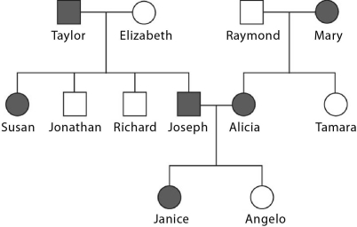 Please read the following scenario to answer the following question(s) . Widow's peak, a pointed hairline on the forehead, is a genetic trait caused by a dominant allele. It can be traced back through a family's history using pedigree analysis. The pedigree shown here shows three generations of a family. Notice that some individuals (shown in gray)  have a widow's peak (W = dominant allele and w = recessive allele) .    -This pedigree supports the fact that widow's peak is due to a dominant allele,because if it were due to a recessive allele and both parents show the recessive phenotype,then ______. A)  none of the sons would have a widow's peak B)  all of the offspring would have a widow's peak C)  none of the daughters would have a widow's peak D)  all of the daughters and none of the sons would have a widow's peak