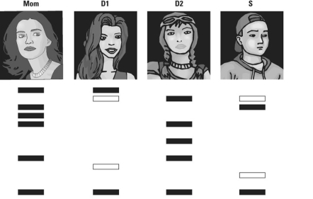 Please read the following scenario then answer the following question(s) . Molecular biologists have perfected DNA fingerprinting so that it is possible to use the technique to provide evidence to solve crimes and even identify a child's parents. Recently, a U.S. immigrant asked the U.S. Citizenship and Immigration Services for permission to have her young daughter who was living with grandparents in their homeland join her.Her request was denied because there was an apparent mix-up with the child's birth certificate and it could not be used as proof of maternity. Proof is required in cases such as this. The mother requested DNA fingerprinting to make her case. Samples of DNA were taken from the mother (Mom)  and daughter (D1)  as well as from another daughter (D2)  and a son (S)  living in the United States with her. Tandem repeat analysis was run on the four samples, and the results are shown here.    -The results indicate that ______. A)  she is not the mother of the son B)  she is the mother of daughter D1 C)  she is not the mother of daughter D1 D)  the mother could not be the mother of both daughter D1 and daughter D2