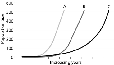 This graph represents three different populations. Use it to answer the following questions.    -If all populations occupy different areas that are approximately the same size,which population will have the lowest density after three years? A)  Population A B)  Population B C)  Population C