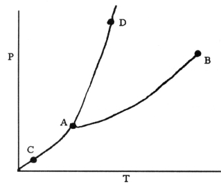   -On the phase diagram shown above, the coordinates of point ________ correspond to the critical temperature and pressure. A) A B) B C) C D) D E) E