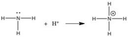 In the gas phase reaction below, NH<sub>3</sub> is acting as a(n) ________ base but not as a(n) ________ base.   A) Arrhenius, Br∅nsted-Lowry B) Br∅nsted-Lowry, Lewis C) Lewis, Arrhenius D) Lewis, Br∅nsted-Lowry E) Arrhenius, Lewis