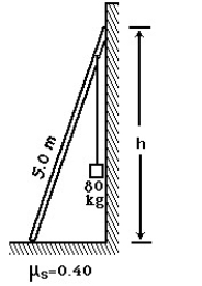   -A 50 kg uniform ladder,5.0 m long,is placed against a smooth wall at a height of h = 3.7 m.The base of the ladder rests on a rough horizontal surface whose coefficient of static friction is 0.40.An 80 kg block is suspended from the top rung of the ladder,just at the wall.In the figure,the magnitude of the force exerted on the base of the ladder,due to contact with the rough horizontal surface is closest to: A) 1580 B) 1560 C) 1550 D) 1600 E) 1610