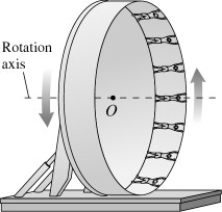In an amusement park ride,passengers stand inside an 8 m radius cylinder.Initially,the cylinder rotates with its axis oriented along the vertical.After the cylinder has acquired sufficient speed,it tilts into a vertical plane,that is,the axis tilts into the horizontal,as shown in the figure.Suppose that,once the axis has tilted into the horizontal,the ring rotates once every 4.5 s.If a rider's mass is 40 kg,with how much force does the ring push on her at the top of the ride?   A) 230 N B) 620 N C) 1000 N D) 390 N