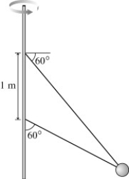 The figure shows two wires tied to a 3.3 kg sphere that revolves in a horizontal circle at constant speed.At this particular speed the tension is the same in both wires.What is the tension?   A) 24 N B) 32 N C) 44 N D) 22 N