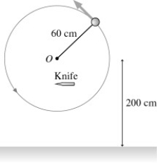 A 90 g bead on a 60 cm long string is swung in a vertical circle about a point 200 cm above the floor.The tension in the string when the bead is at the very bottom of the circle is 2.2 N.A very sharp knife is suddenly inserted,as shown in the figure,to cut the string directly below the point of support.How far to the right of the center of the circle does the ball hit the floor?   A) 160 cm B) 200 cm C) 240 cm D) 190 cm