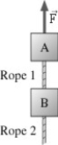 <strong>The figure shows two 1.0 kg blocks connected by a rope.A second rope hangs beneath the lower block.Both ropes have a mass of 250 g.The entire assembly is accelerated upward at 2.3 m/s<sup>2</sup> by force   .What is the tension at the top end of rope 1?  </strong> A)18 N B)15 N C)2.9 N D)3.5 N <div style=padding-top: 35px> 