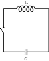 A capacitor,initially having a charge Q on the left plate and a charge -Q on the right plate,is connected to a switch and an inductor,as shown in the figure.   Assuming the resistance of the circuit is zero,when the switch is closed, A) charge will flow out of the capacitor until the left plate is no longer charged,and then all current ceases. B) current will flow until the left plate of the capacitor has a charge -Q,and then current will flow in the opposite direction,reversing again when the left plate has a charge of +Q.The cycle will then repeat over and over. C) current will flow through the inductor back and forth,with the magnitude of the current decreasing and eventually going to zero. D) None of the above