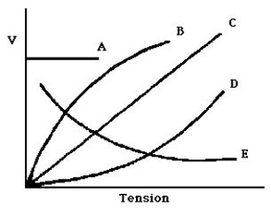 <strong> In the figure,which of the curves best represents the variation of wave speed as a function of tension for transverse waves on a stretched string?</strong> A)A B)B C)C D)D E)E