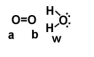 Given the following diagram, describe what happens electronically between these two molecules.   A) Oxygen A becomes slightly positively charged due to the protons on the water molecule. B) Oxygen B becomes slightly positively charged due to the protons on the water molecule. C) Oxygen A becomes slightly negatively charged due to the oxygen molecule. D) Hydrogens on oxygen W becomes slightly positively charged due to the oxygen molecule. E) none of the above