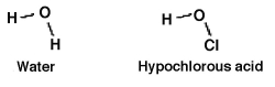 How readily an acid donates a hydrogen ion is a function of how well the acid is able to accommodate the resulting negative charge it gains after donating. Which should be the stronger acid: water or hypochlorous acid? Why?   A) Water, because O-H would accommodate the resulting negative charge better than O-Cl. B) Hypochlorous acid, because the resulting negative charge is spread over a greater number of atoms. C) Neither, since both molecules are  monoprotic  and donate the same H<sup>+</sup> ion, making their the same. D) Water, because the hydrogen bonding in water gives it the edge in the ability to accommodate the resulting negative charge.
