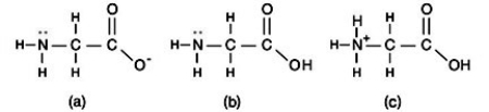An amino acid is an organic molecule that contains both an amine group and a carboxyl group. At an acidic pH, which structure is most likely:   A) Structure (a)  B) Structure (b)  C) Structure (c)  D) All three structures are equally possible.